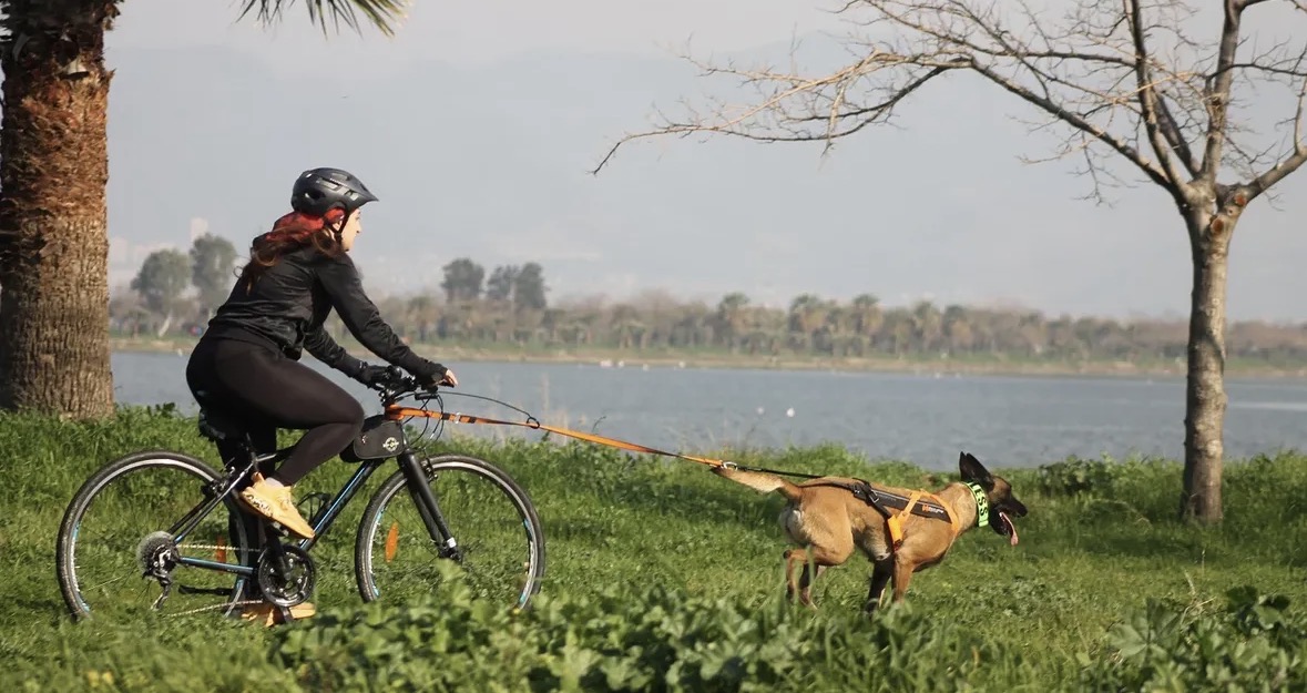 Bikejoring